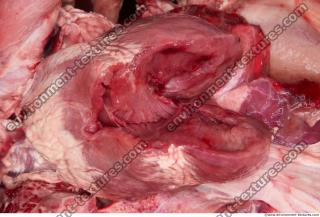 RAW meat pork viscera 0055
